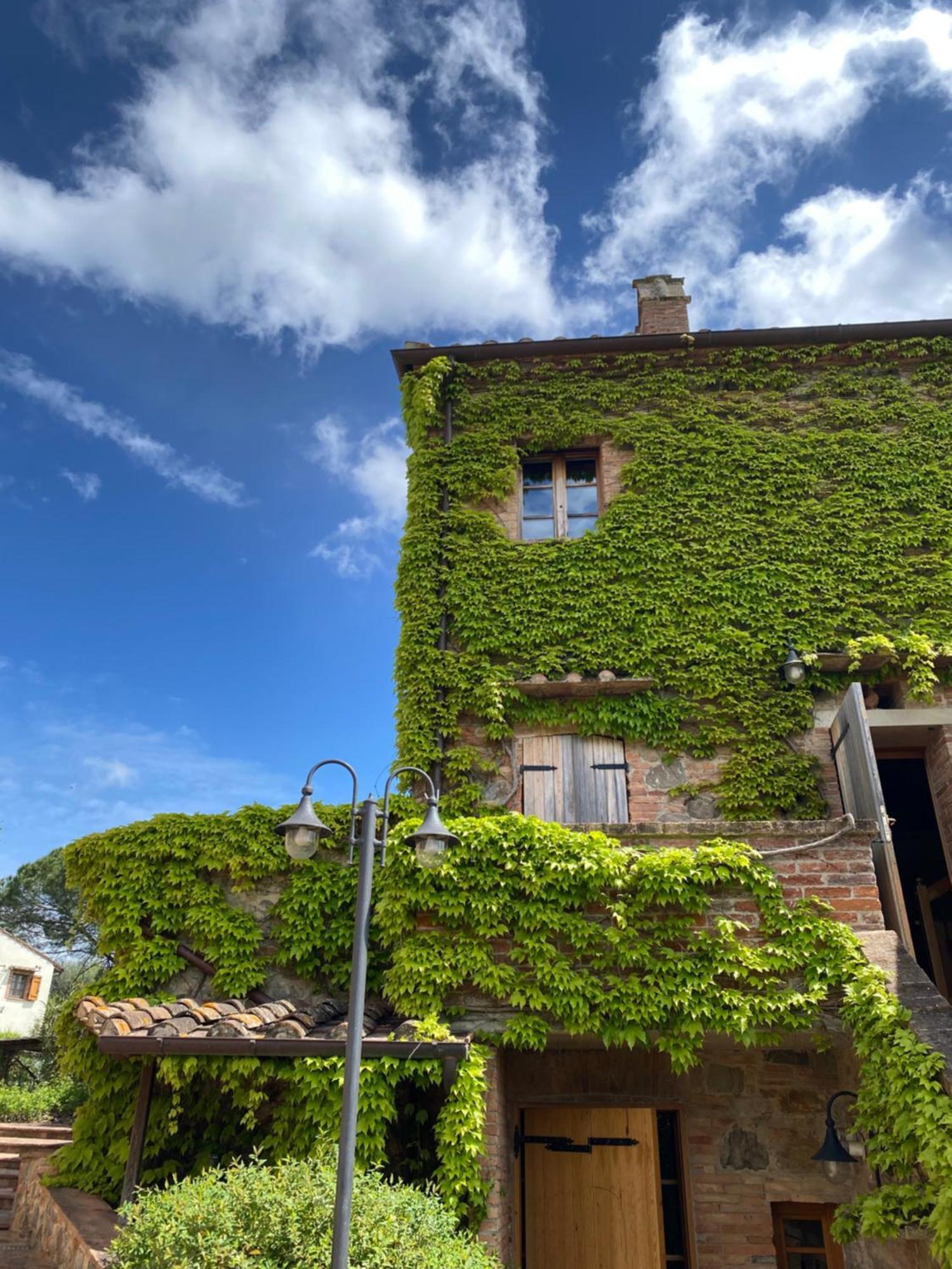 Agriturismo Borgo 7 Tigli - Apt 1 Montepulciano Stazione Exteriér fotografie